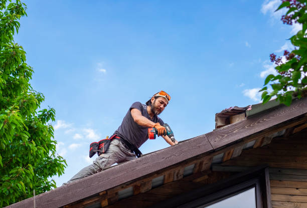Best Metal Roofing Installation  in Whitehall, MI