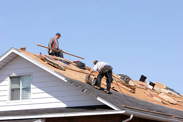 Best Storm Damage Roof Repair  in Whitehall, MI